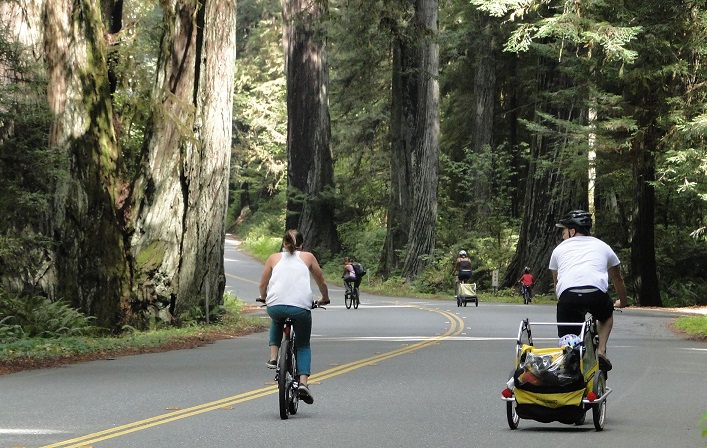 Redwood National Park Bike Day