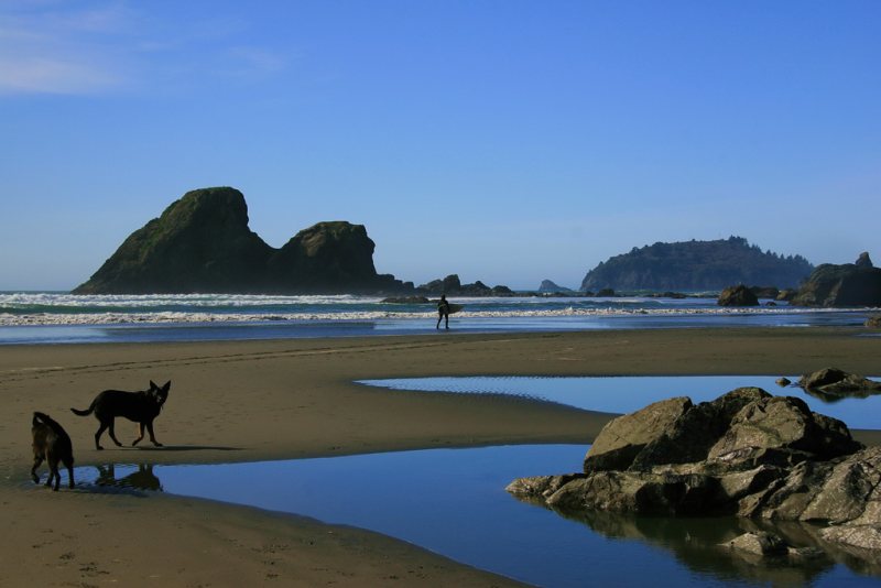 Camel Rock Beach, Trinidad, CA